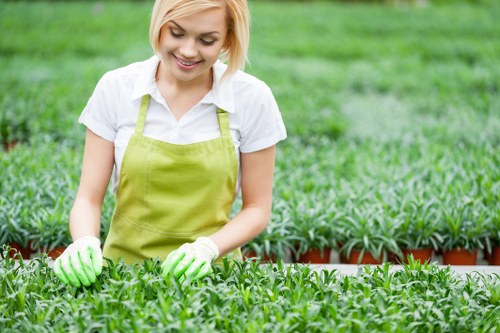 Pressure cleaning services covering nearby areas of Clapham